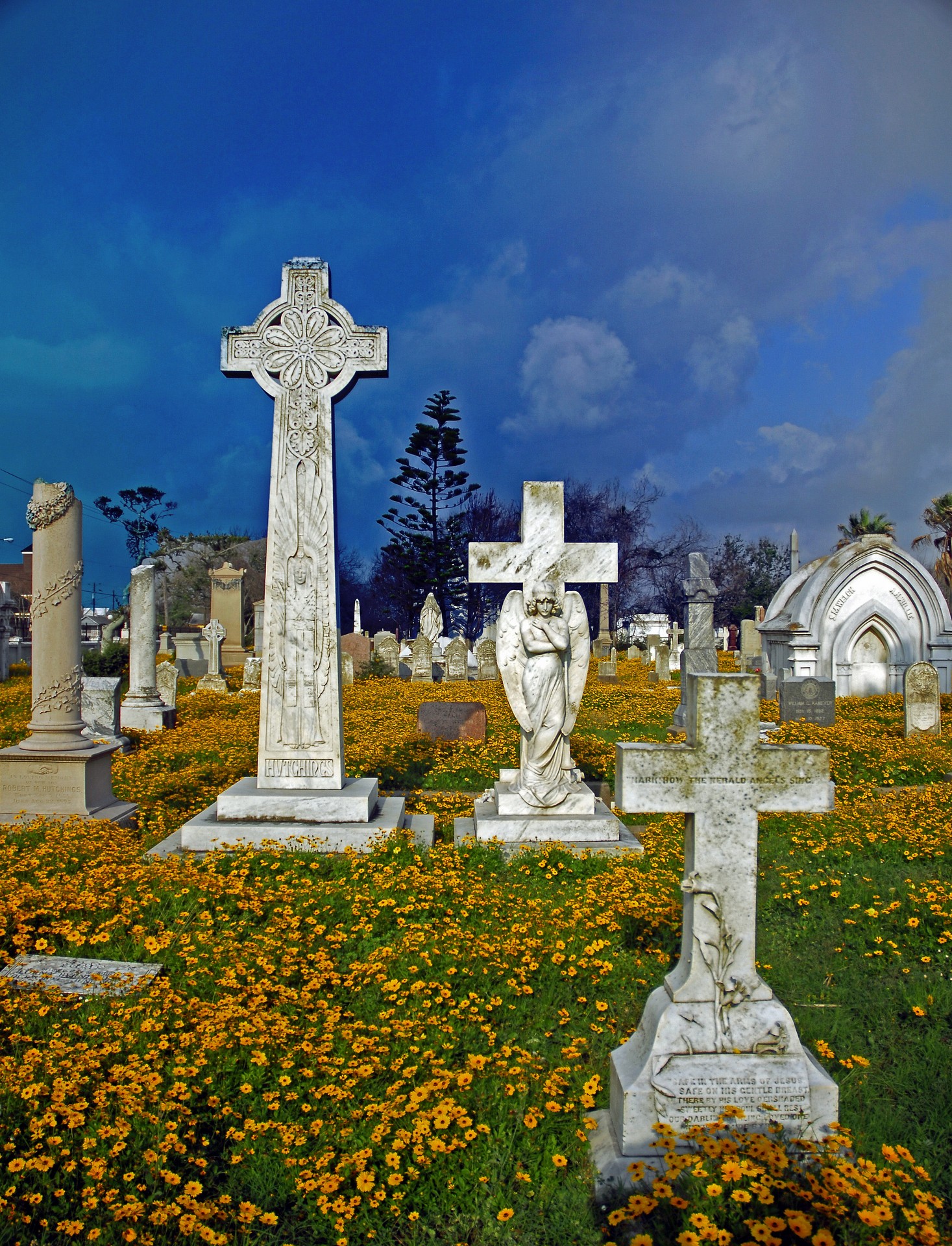 Broadway Cemetery: Galveston’s Silent Storytellers